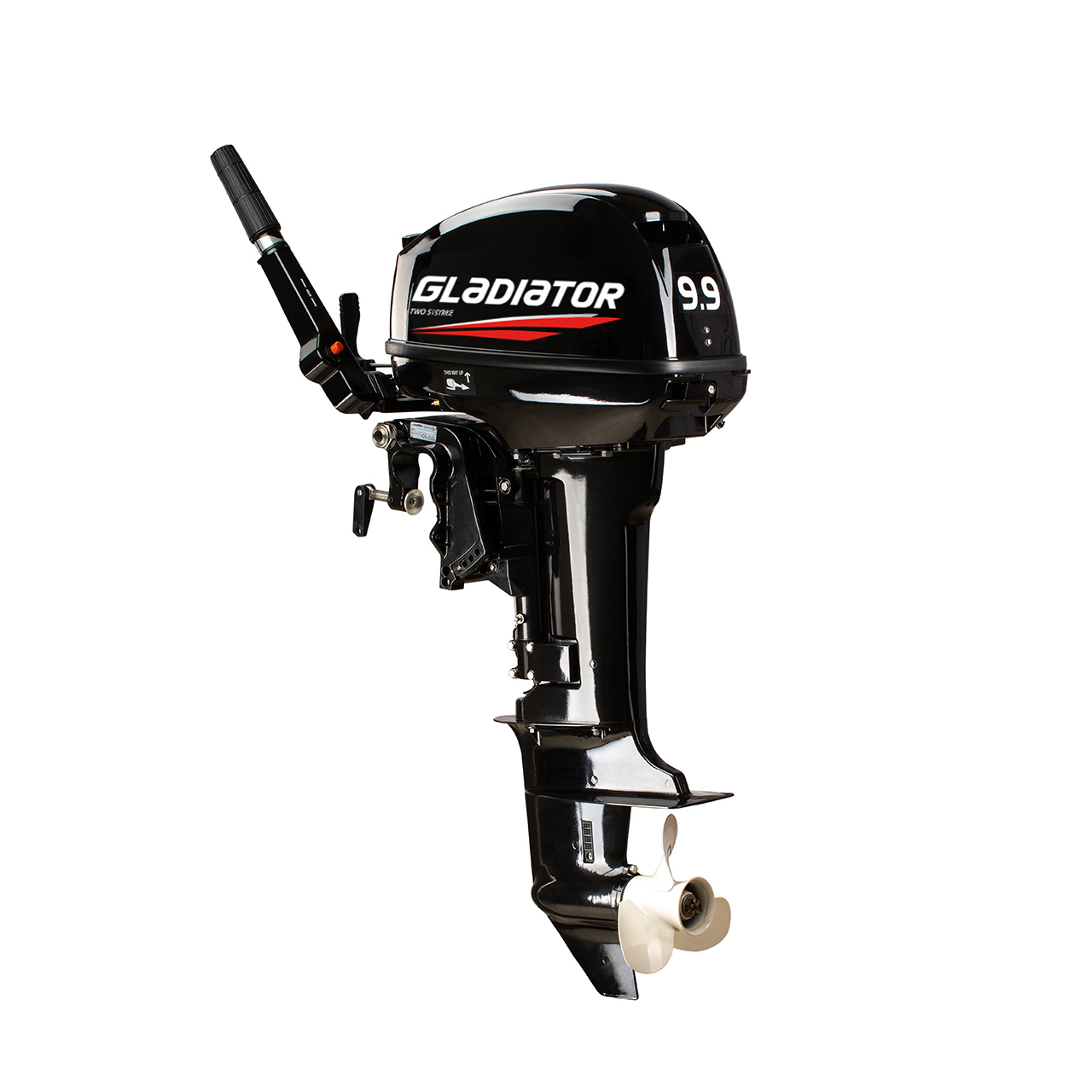 ЛОДОЧНЫЙ МОТОР GLADIATOR G9.9FHS в Электростали