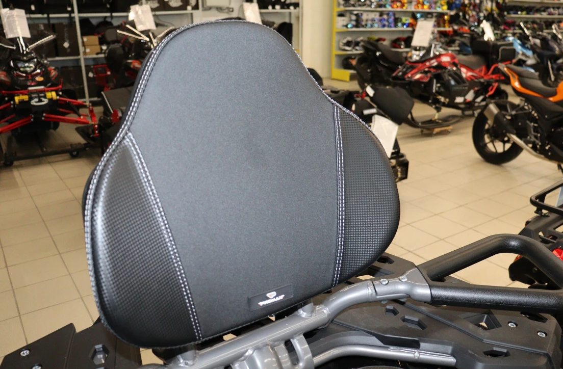 Квадроцикл PROMAX RENEGADE 300 LONG WINCH PRO (2025) в Электростали