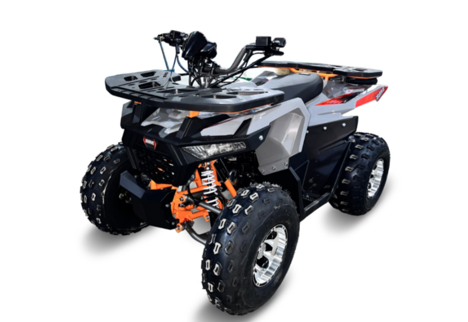 Квадроцикл GBM DAXTER 220 NEW PREMIUM в Электростали