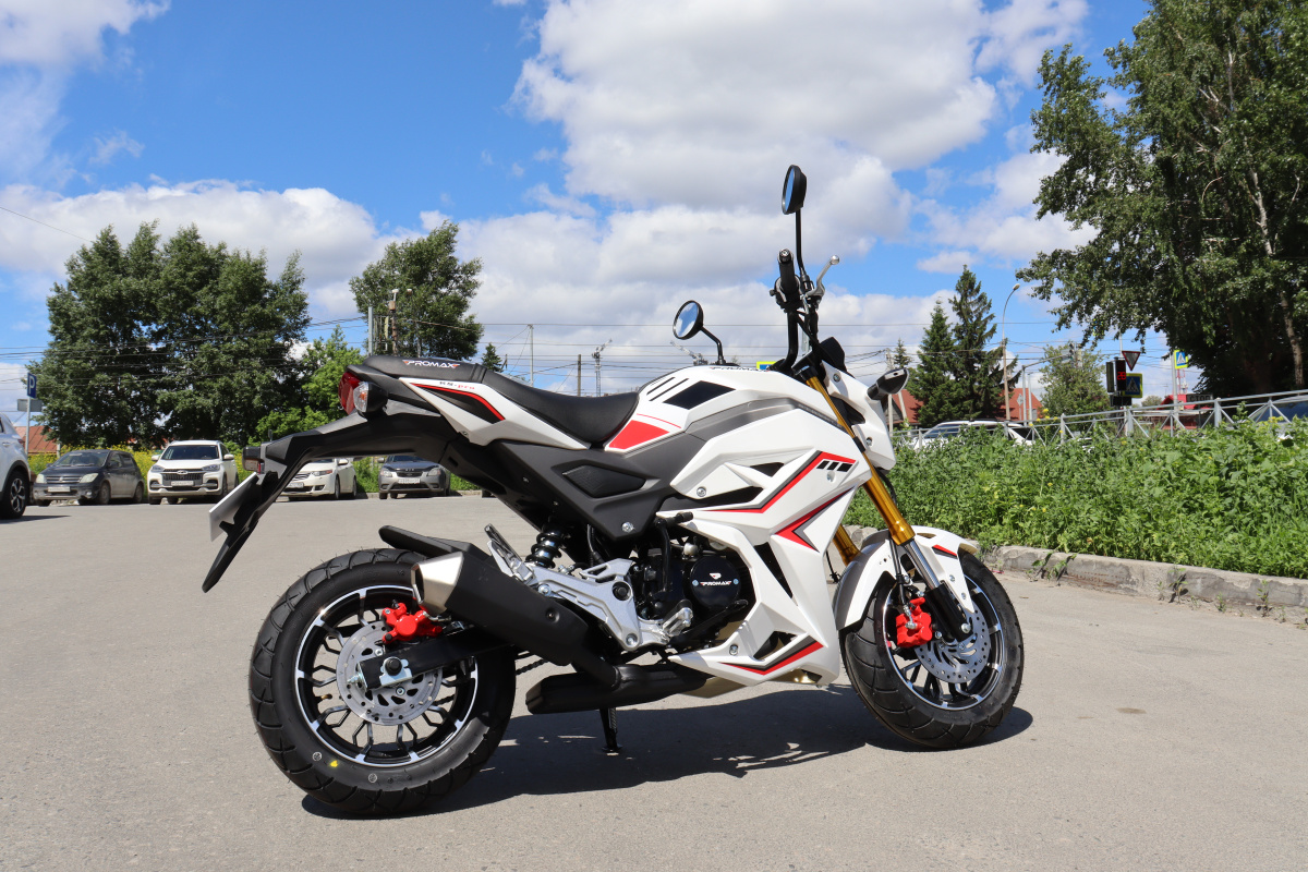 Мотоцикл PROMAX STRYKER 200(49) 2.0 в Электростали