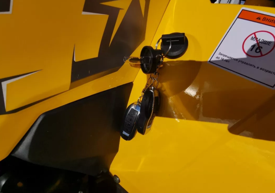 Квадроцикл MOTOLAND (МОТОЛЕНД) VOX200 WILD TRACK X PRO (баланс. вал) в Электростали