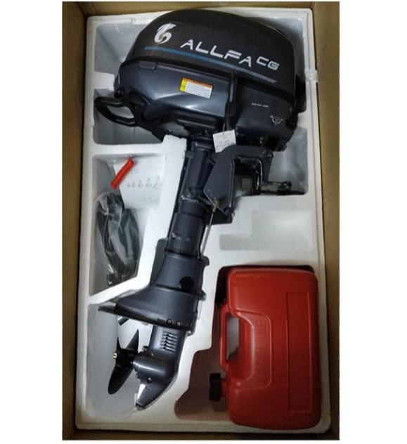 Лодочный мотор ALLFA CG F6 в Электростали