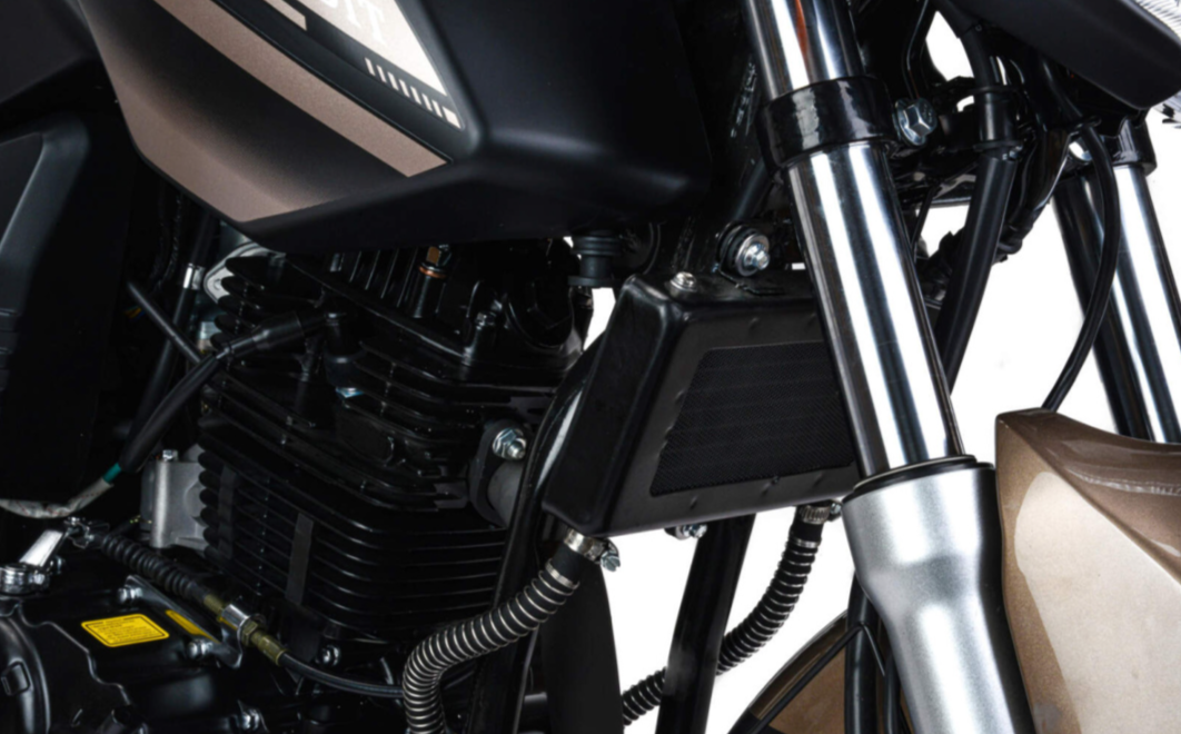 Мотоцикл MOTOLAND (МОТОЛЕНД) 300 BANDIT в Электростали