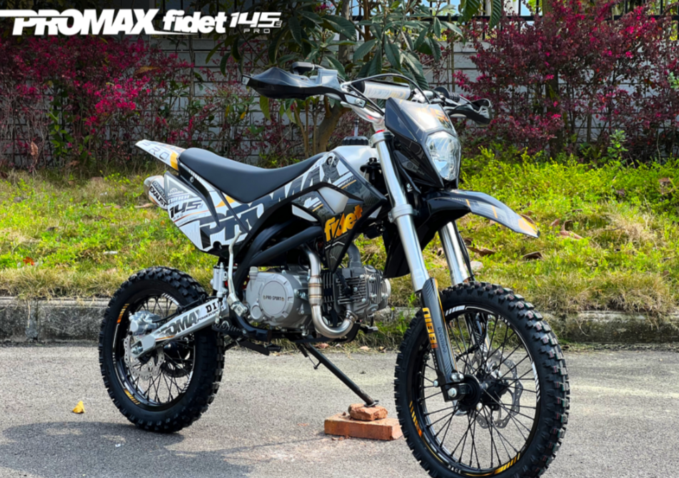 Мотоцикл (питбайк) PROMAX FIDET (ФАЙДЕТ) 145E PRO 17/14 в Электростали