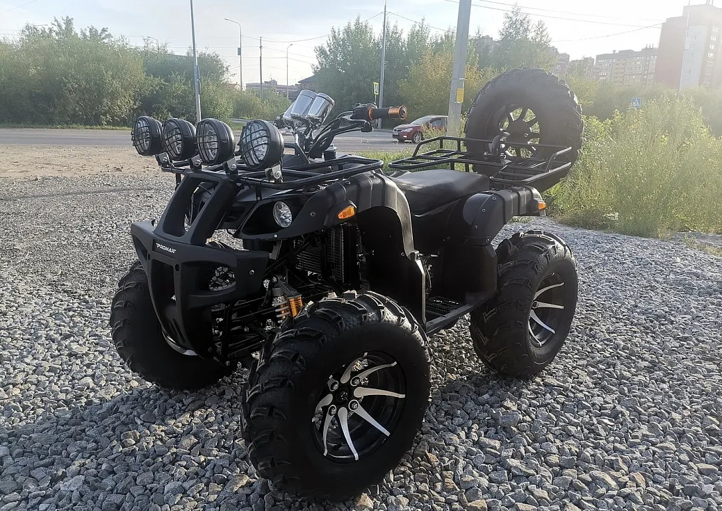 Квадроцикл PROMAX LEO 300 Max (кардан) в Электростали
