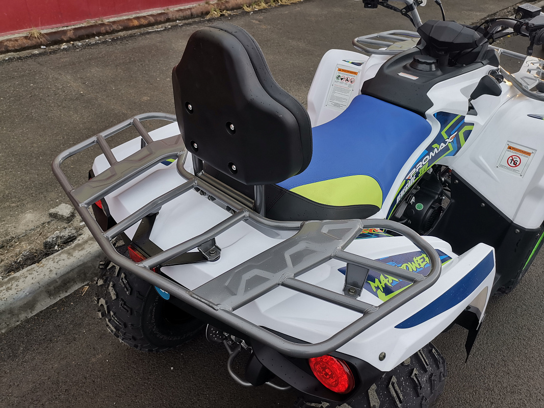 Квадроцикл PROMAX RENEGADE 280 LUX (2025) в Электростали