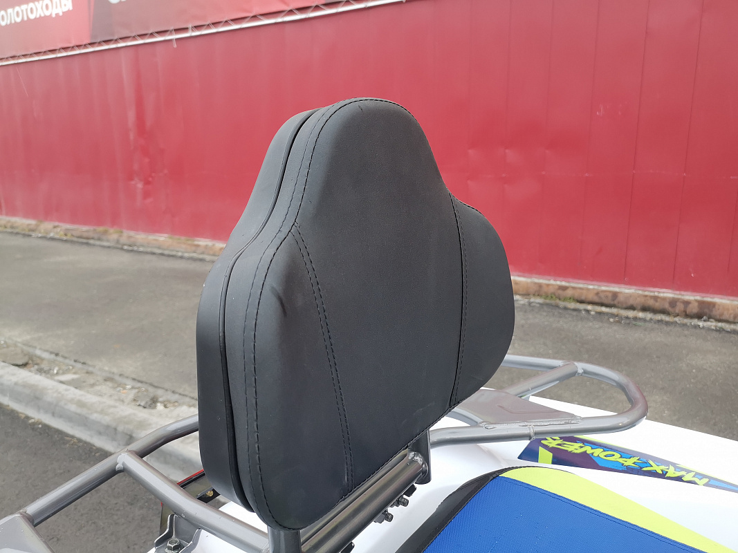 Квадроцикл PROMAX RENEGADE 280 LUX (2025) в Электростали