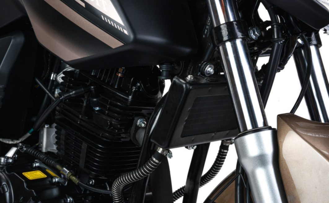 Мотоцикл MOTOLAND (МОТОЛЕНД) 300 BANDIT в Электростали