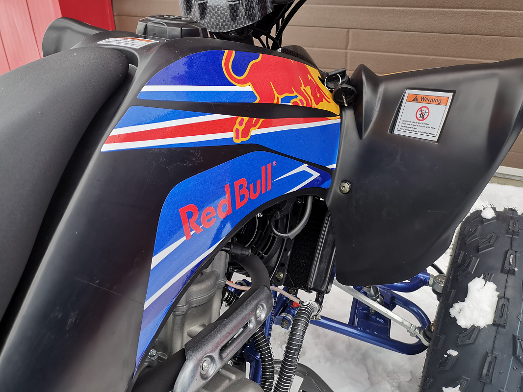Квадроцикл PROMAX RAPTOR 300 NEW RedBull в Электростали