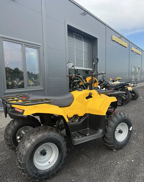 КВАДРОЦИКЛ IRBIS ATV 250  в Электростали
