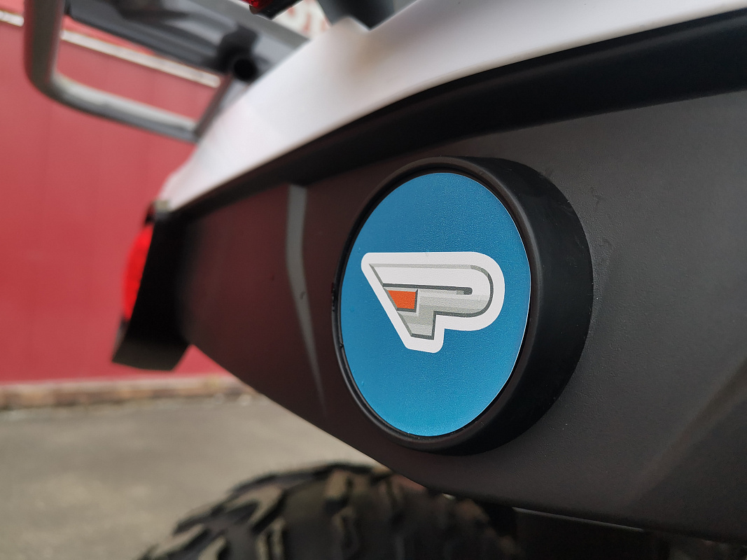 Квадроцикл PROMAX RENEGADE 280 LUX (2025) в Электростали
