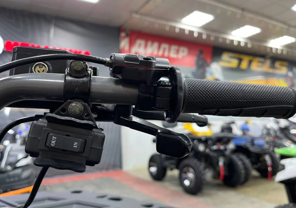 Квадроцикл PROMAX RENEGADE 300 LONG WINCH PRO (2025) в Электростали