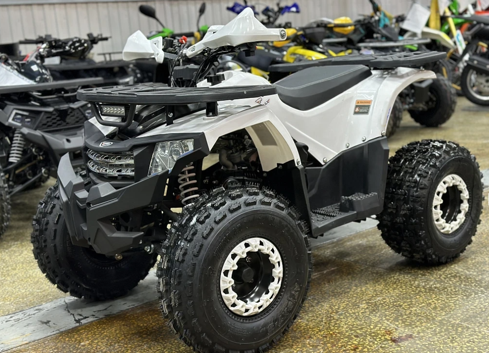 Квадроцикл PROMAX WILD 2.0 190 в Электростали