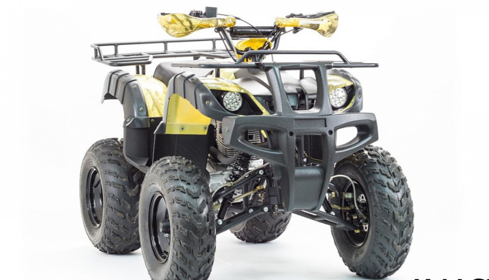 Квадроцикл MOTOLAND (МОТОЛЕНД) 250 ADVENTURE в Электростали