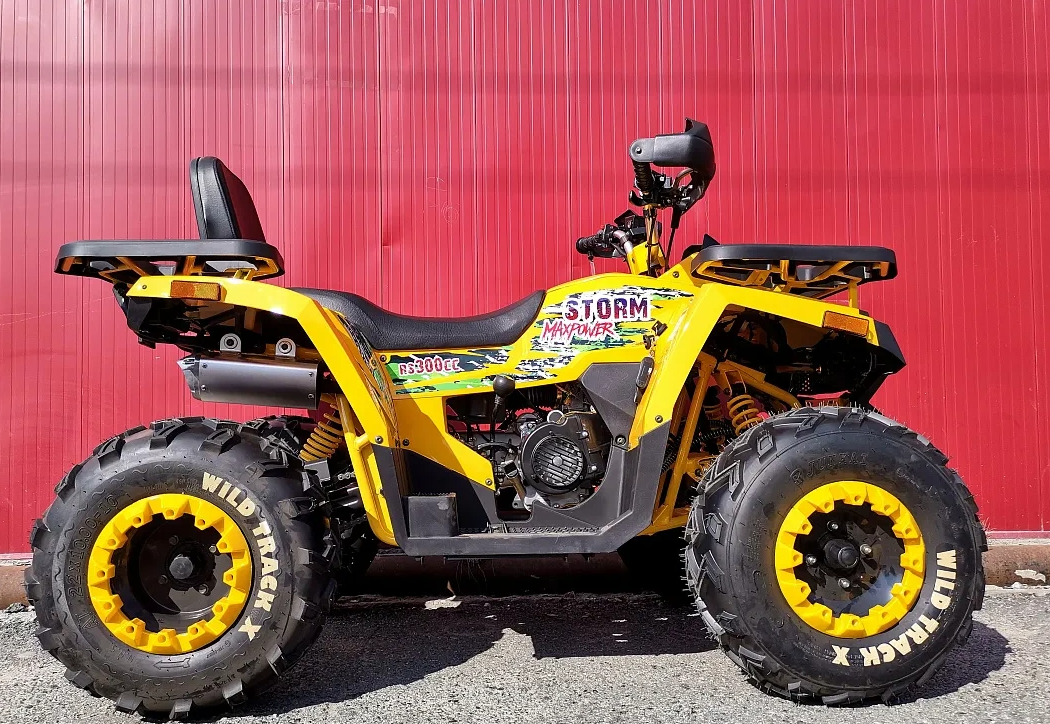 Квадроцикл PROMAX STORM 280 LUX в Электростали