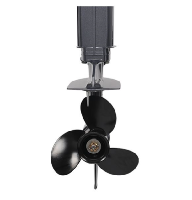 Лодочный мотор ALLFA CG Т40FW S в Электростали