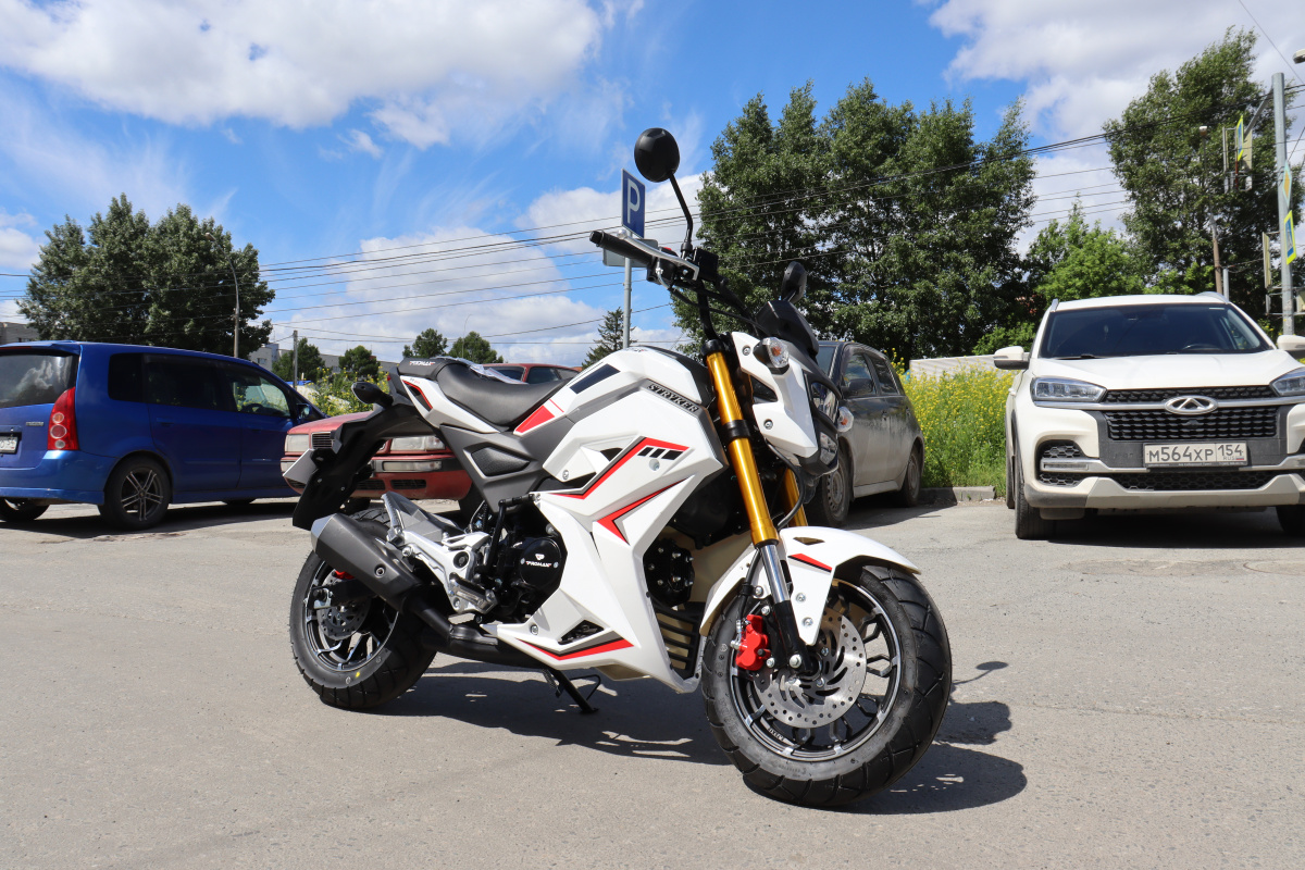 Мотоцикл PROMAX STRYKER 200(49) 2.0 в Электростали