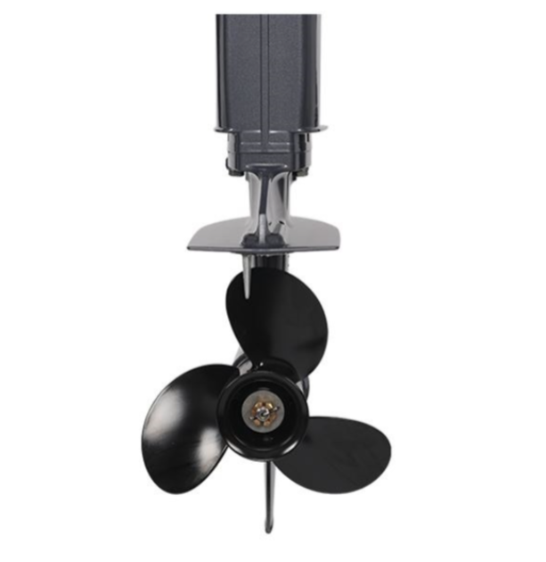 Лодочный мотор ALLFA CG Т40FWT S в Электростали