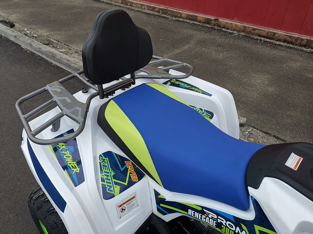Квадроцикл PROMAX RENEGADE 280 LUX (2025) в Электростали