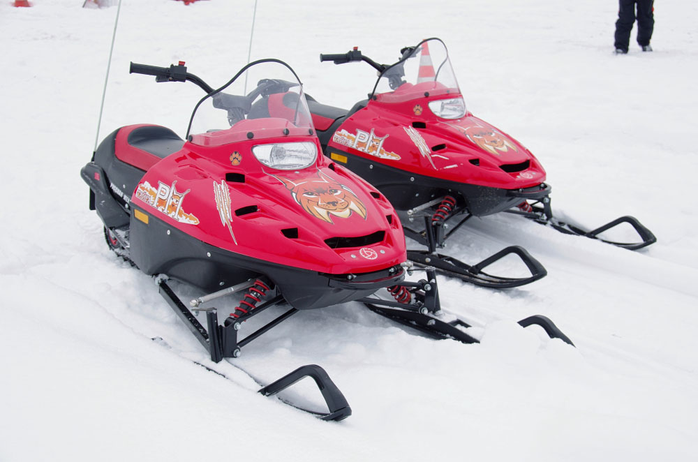 Снегоход РМ ТАЙГА РЫСЬ в Электростали