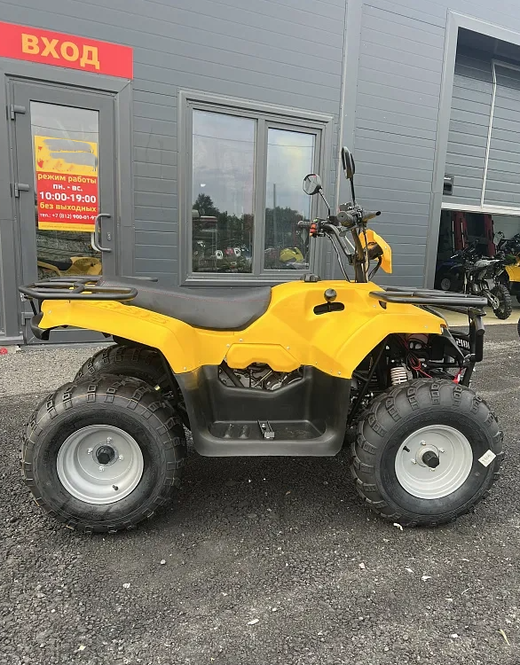 КВАДРОЦИКЛ IRBIS ATV 250  в Электростали