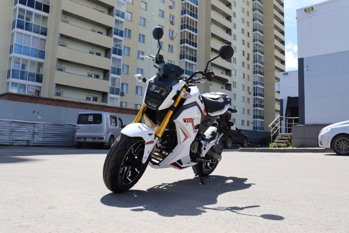 Мотоцикл PROMAX STRYKER 200(49) 2.0 в Электростали