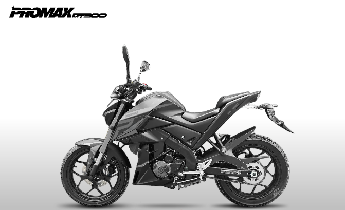 Мотоцикл PROMAX MT300 в Электростали