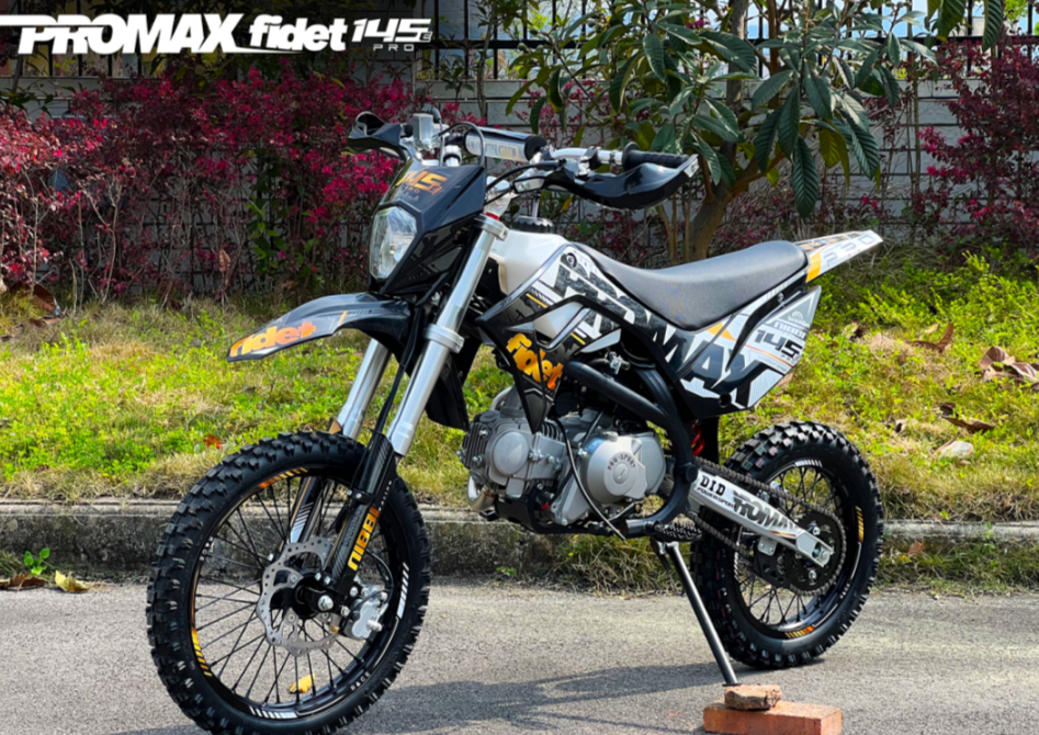 Мотоцикл (питбайк) PROMAX FIDET (ФАЙДЕТ) 145E PRO 17/14 в Электростали
