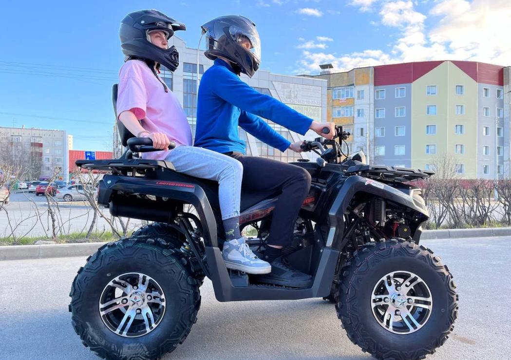 Квадроцикл PROMAX RENEGADE 300 LONG WINCH PRO (2025) в Электростали