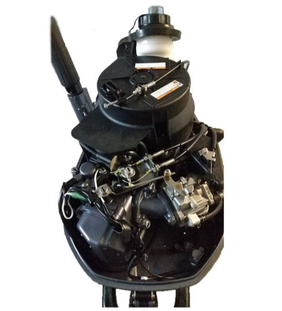 Лодочный мотор ALLFA CG F6 в Электростали