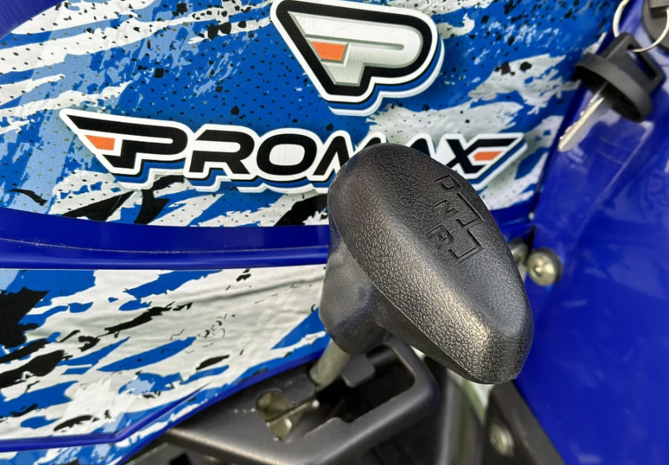  Квадроцикл PROMAX ATV 250 MAX (2025) в Электростали