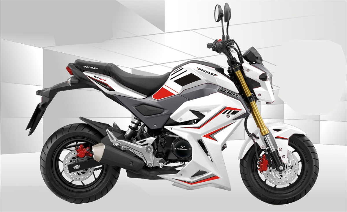 Мотоцикл PROMAX STRYKER 200(49) 2.0 в Электростали