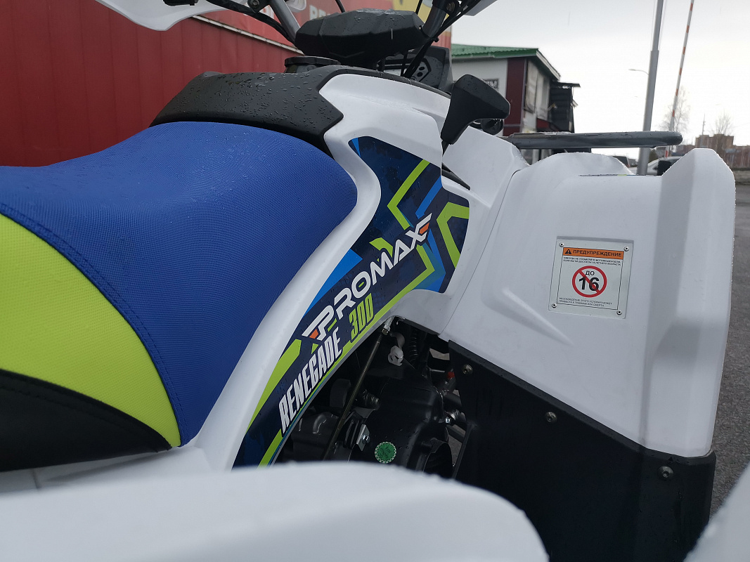 Квадроцикл PROMAX RENEGADE 280 LUX (2025) в Электростали