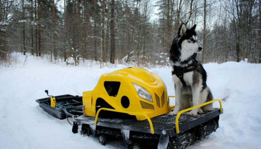 Мотобуксировщик LEBEDEV MOTORS ВОЛКОДАВ POWER V13 в Электростали