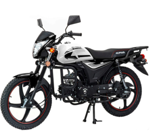 Мопед MOTOLAND (МОТОЛЕНД) Альфа RS 11 (LM48-B) в Электростали