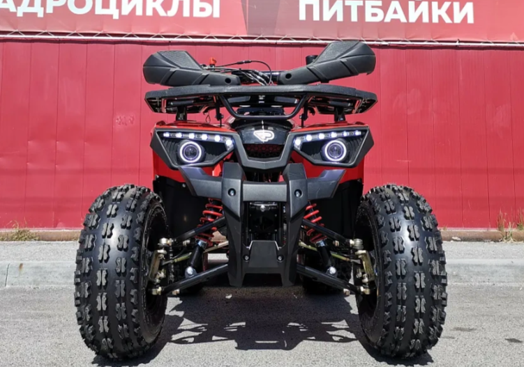 Квадроцикл PROMAX WILD 175 BASIC в Электростали