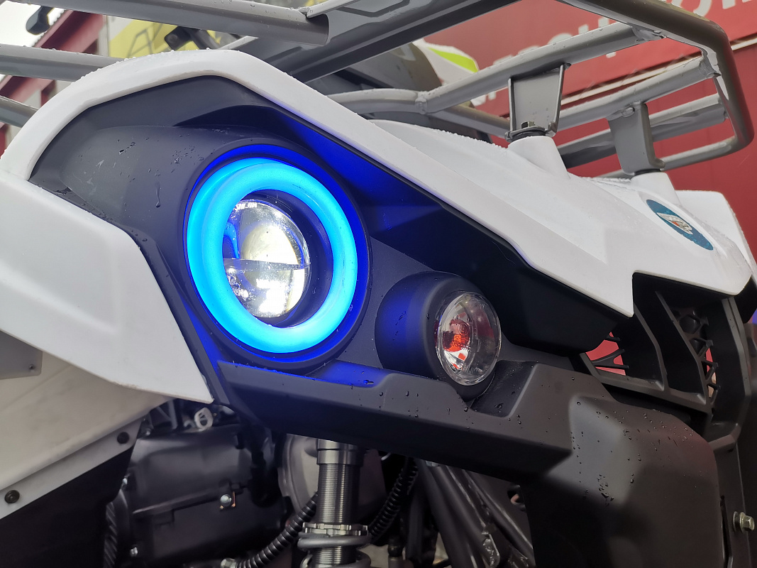 Квадроцикл PROMAX RENEGADE 280 LUX (2025) в Электростали