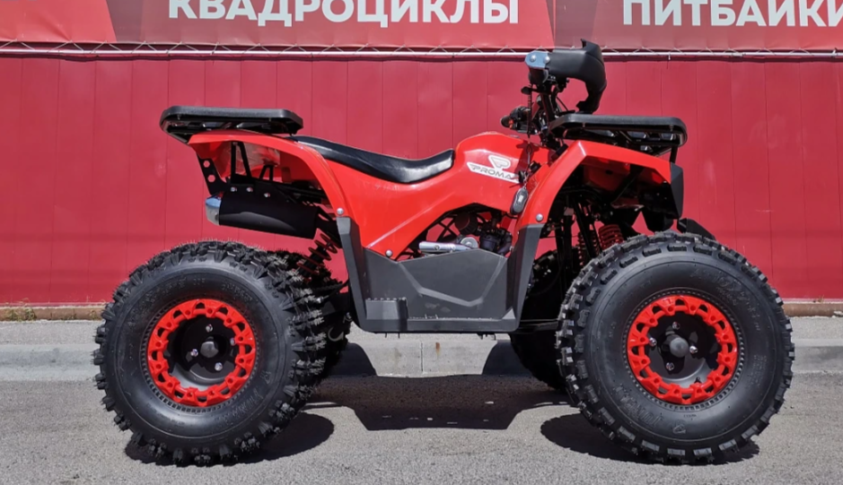 Квадроцикл PROMAX WILD 175 BASIC в Электростали