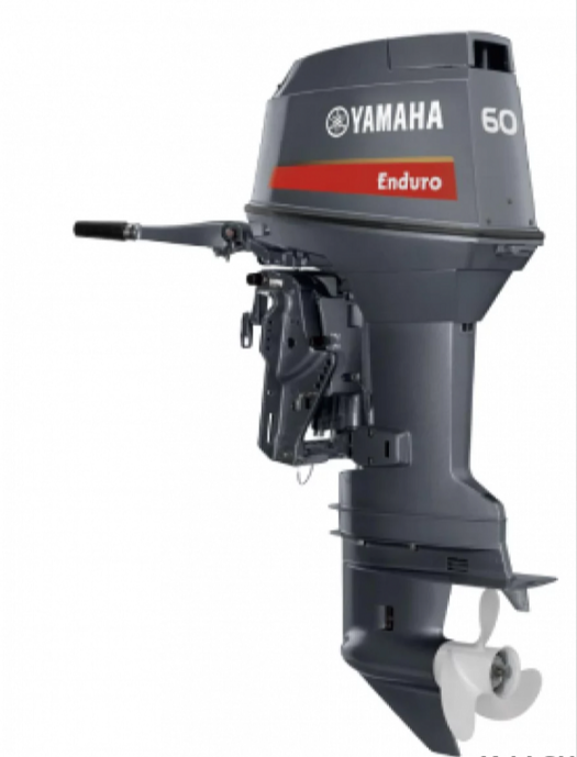 Лодочный мотор YAMAHA E60HMHDL в Электростали