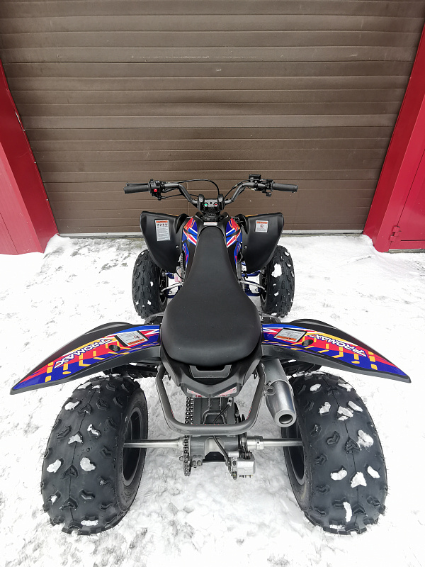 Квадроцикл PROMAX RAPTOR 300 NEW RedBull в Электростали
