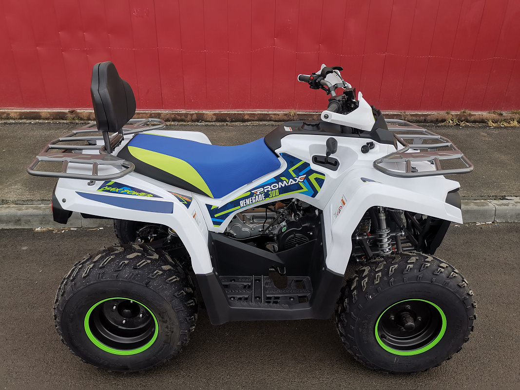 Квадроцикл PROMAX RENEGADE 280 LUX (2025) в Электростали