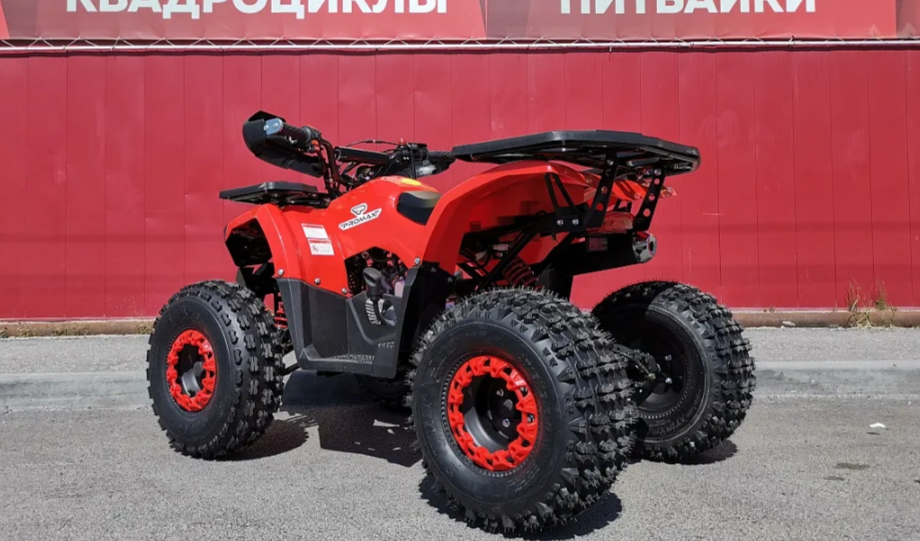 Квадроцикл PROMAX WILD 175 BASIC в Электростали