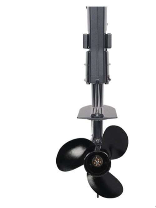 Лодочный мотор ALLFA CG F6 в Электростали