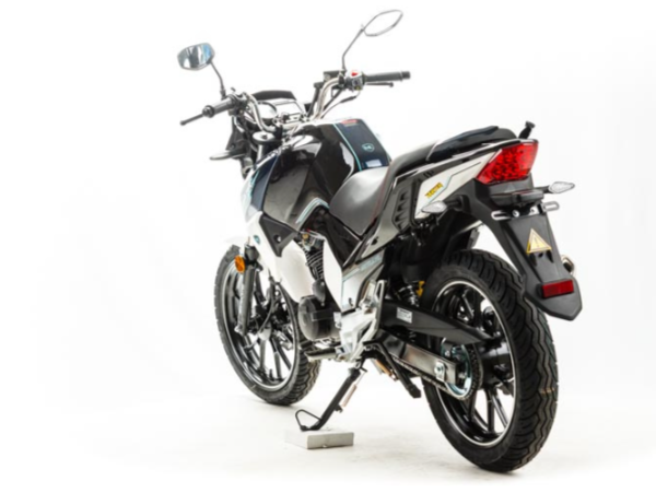 Мотоцикл MOTOLAND (МОТОЛЕНД) FIGHTER 250 в Электростали