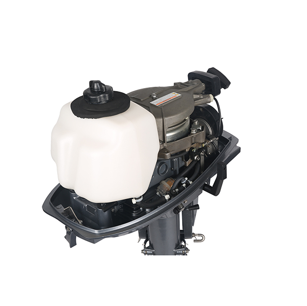 ЛОДОЧНЫЙ МОТОР ALLFA CG T5 в Электростали