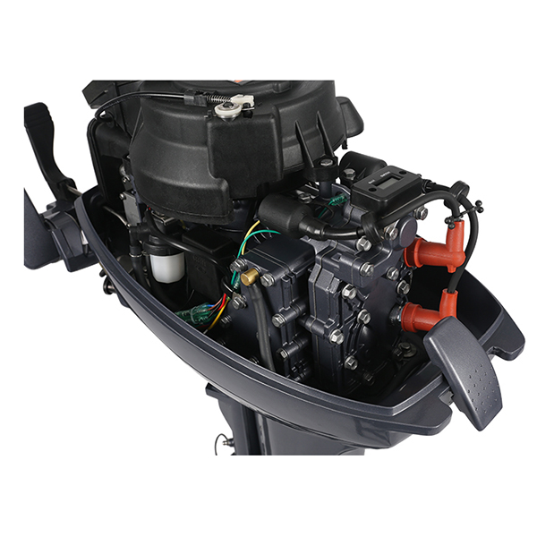 ЛОДОЧНЫЙ МОТОР ALLFA CG Т9,9 Limit в Электростали