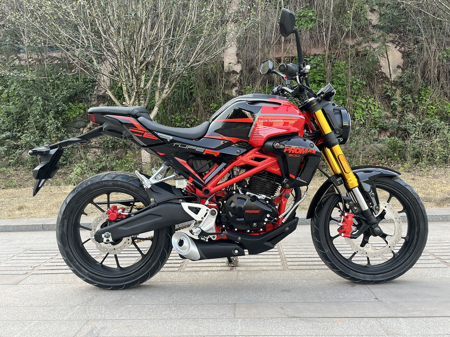 Мотоцикл PROMAX CB300 в Электростали