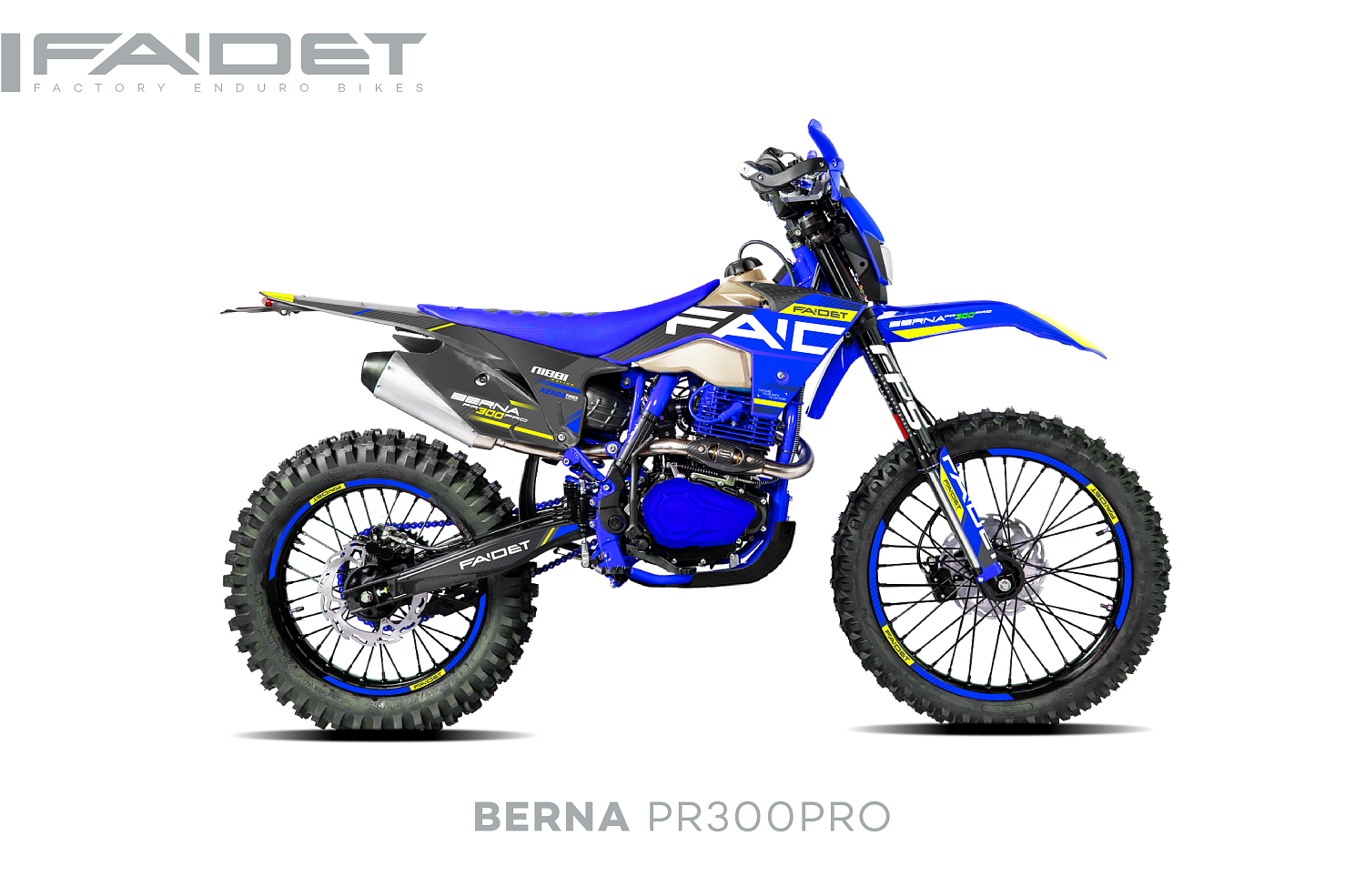 Кроссовый мотоцикл FAIDET BERNA PR300-PRO FPS в Электростали