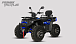 Квадроцикл PROMAX TAURUS 300 MAX-PRO LONG в Электростали