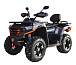 Квадроцикл MOTOLAND (МОТОЛЕНД) 300 MAX X в Электростали